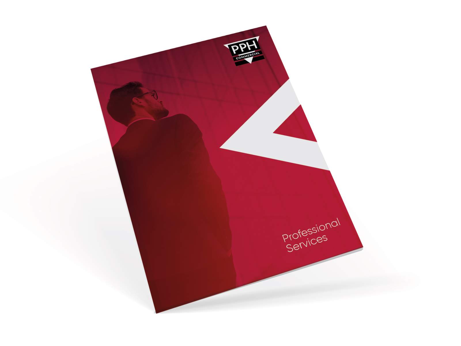 Download Our Professional Services Brochure